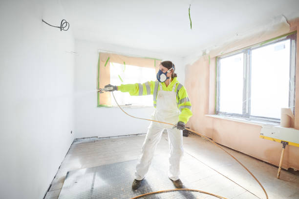 Best Black Mold Removal  in Benton Heights, MI